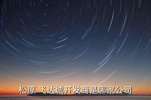 松原 飛達城開發(fā)商是哪家公司