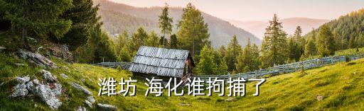 濰坊 海化誰拘捕了