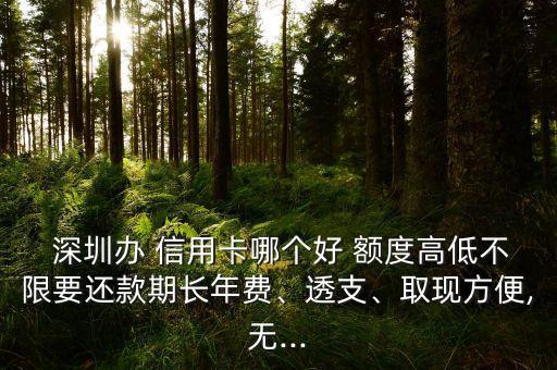  深圳辦 信用卡哪個好 額度高低不限要還款期長年費、透支、取現(xiàn)方便,無...