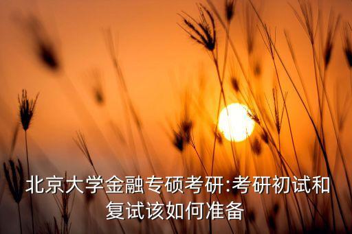  北京大學(xué)金融專碩考研:考研初試和復(fù)試該如何準備