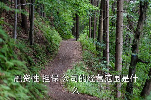  融資性 擔(dān)保 公司的經(jīng)營(yíng)范圍是什么