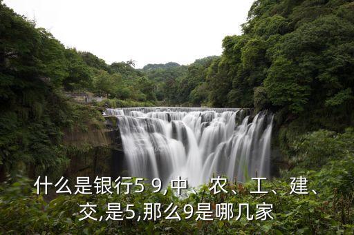 什么是銀行5 9,中、農(nóng)、工、建、交,是5,那么9是哪幾家