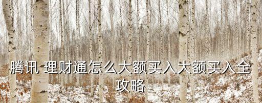騰訊 理財(cái)通怎么大額買(mǎi)入大額買(mǎi)入全攻略