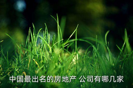 中國最出名的房地產(chǎn) 公司有哪幾家