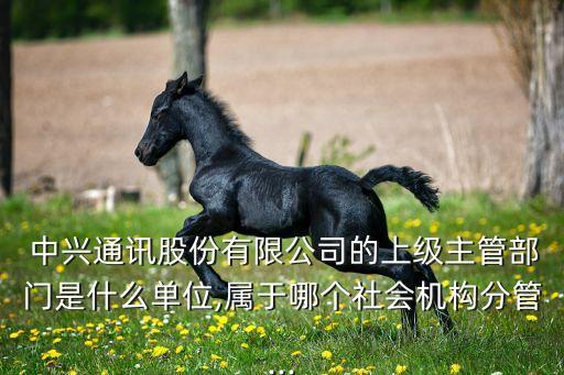  中興通訊股份有限公司的上級主管部門是什么單位,屬于哪個(gè)社會(huì)機(jī)構(gòu)分管...