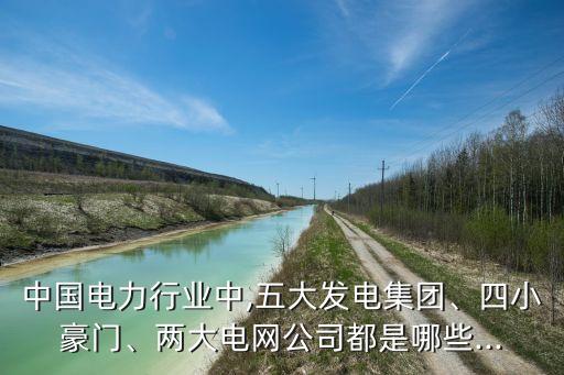 中國電力行業(yè)中,五大發(fā)電集團(tuán)、四小豪門、兩大電網(wǎng)公司都是哪些...