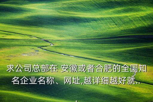 求公司總部在 安徽或者合肥的全國(guó)知名企業(yè)名稱、網(wǎng)址,越詳細(xì)越好就...