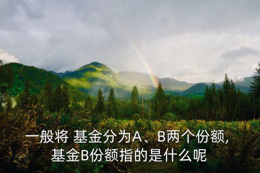 一般將 基金分為A、B兩個份額, 基金B(yǎng)份額指的是什么呢