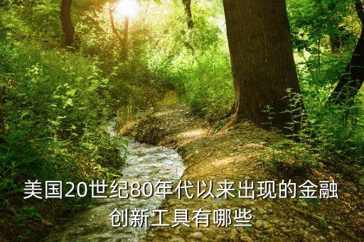 美國20世紀80年代以來出現的金融創(chuàng)新工具有哪些