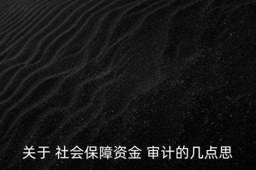 關(guān)于 社會保障資金 審計(jì)的幾點(diǎn)思