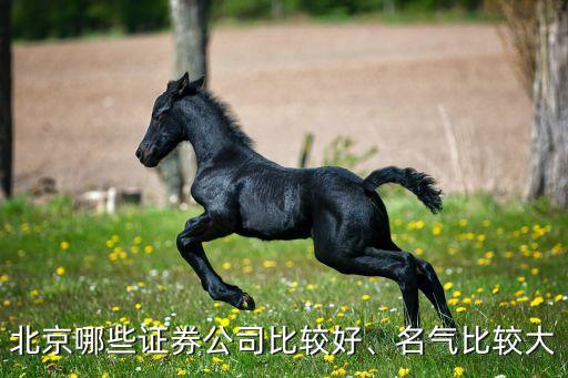 北京哪些證券公司比較好、名氣比較大