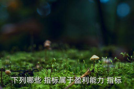 下列哪些 指標屬于盈利能力 指標