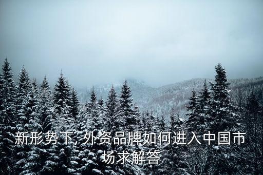 新形勢(shì)下, 外資品牌如何進(jìn)入中國市場求解答