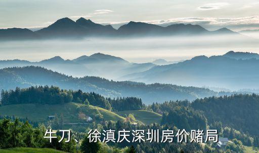  牛刀、徐滇慶深圳房?jī)r(jià)賭局