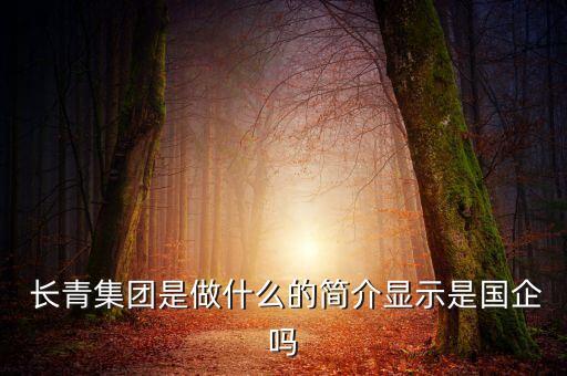 中國長(zhǎng)青技術(shù)控股有限公司,廣州市九安智能技術(shù)控股有限公司