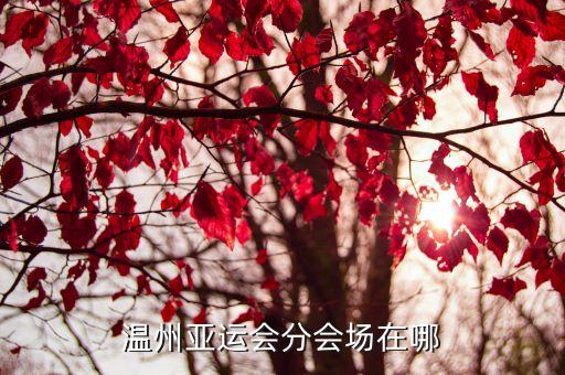 溫州亞運(yùn)會(huì)分會(huì)場在哪