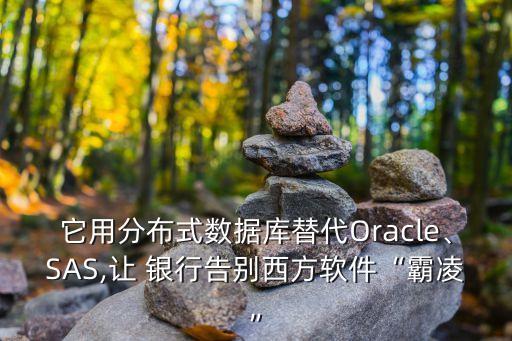 它用分布式數(shù)據(jù)庫替代Oracle、SAS,讓 銀行告別西方軟件“霸凌”