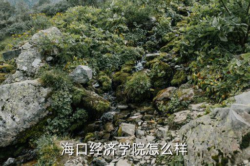 ?？诮?jīng)濟(jì)學(xué)院怎么樣