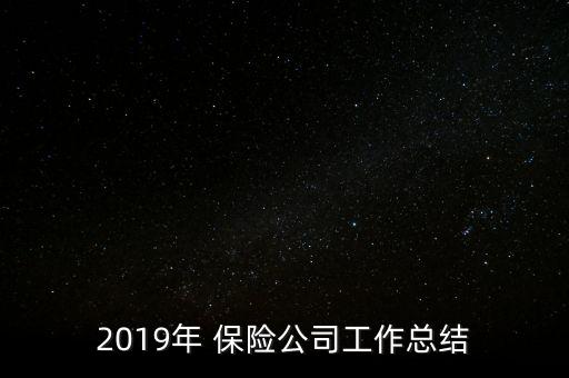 2019年 保險公司工作總結