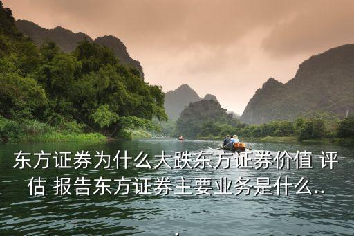東方證券為什么大跌東方證券價值 評估 報告東方證券主要業(yè)務(wù)是什么...