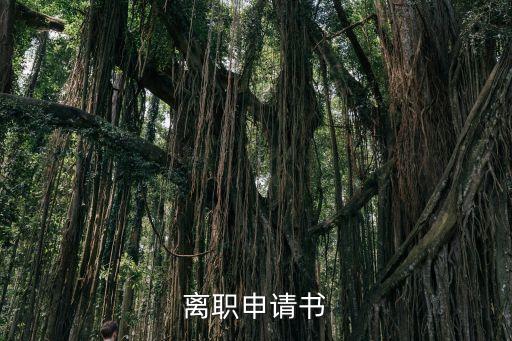 快遞公司辭職報告,在快遞公司上班的實(shí)踐報告