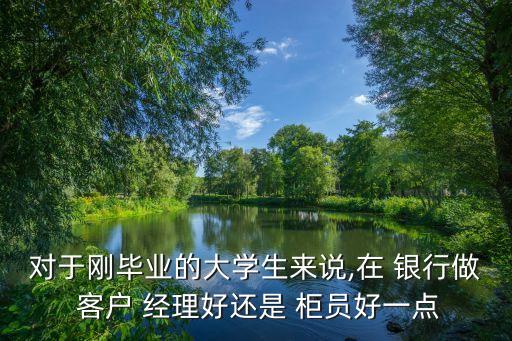 對于剛畢業(yè)的大學生來說,在 銀行做 客戶 經理好還是 柜員好一點