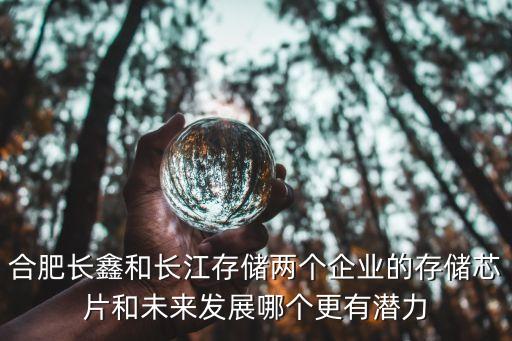 合肥長(zhǎng)鑫和長(zhǎng)江存儲(chǔ)兩個(gè)企業(yè)的存儲(chǔ)芯片和未來發(fā)展哪個(gè)更有潛力