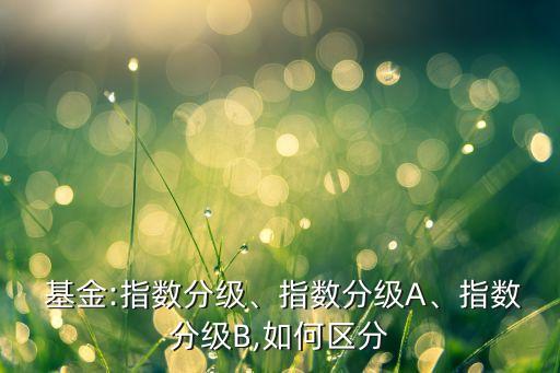  基金:指數(shù)分級(jí)、指數(shù)分級(jí)A、指數(shù)分級(jí)B,如何區(qū)分
