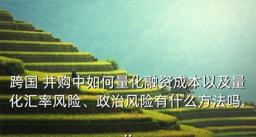 跨國 并購中如何量化融資成本以及量化匯率風險、政治風險有什么方法嗎...