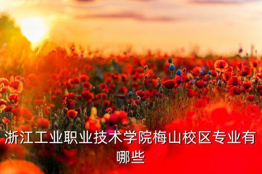 浙江工業(yè)職業(yè)技術(shù)學院梅山校區(qū)專業(yè)有哪些