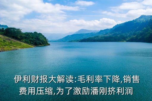  伊利財(cái)報(bào)大解讀:毛利率下降,銷售費(fèi)用壓縮,為了激勵(lì)潘剛擠利潤