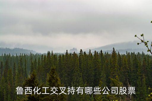 恒順醋業(yè)股份有限公司財務報表2010年