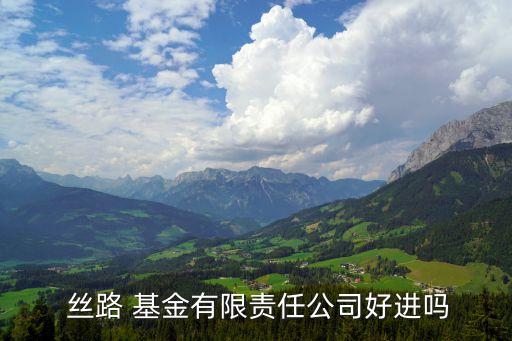  絲路 基金有限責(zé)任公司好進嗎