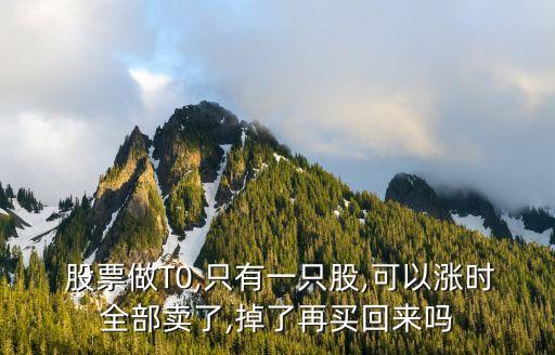  股票做T0,只有一只股,可以漲時全部賣了,掉了再買回來嗎