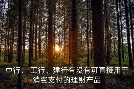 中行、 工行、建行有沒有可直接用于消費支付的理財產(chǎn)品