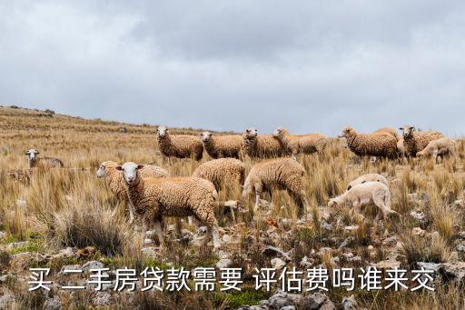 買 二手房貸款需要 評(píng)估費(fèi)嗎誰來交