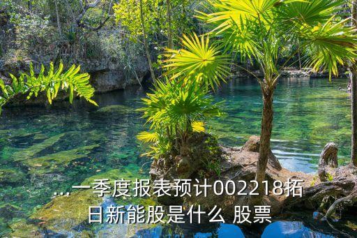 ...一季度報表預計002218拓日新能股是什么 股票