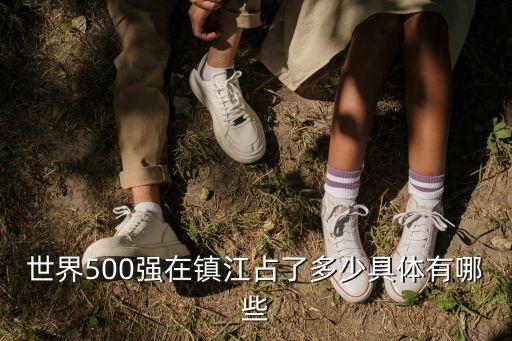 世界500強在鎮(zhèn)江占了多少具體有哪些