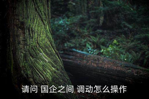 請(qǐng)問 國企之間 調(diào)動(dòng)怎么操作