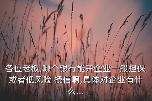 各位老板,哪個(gè)銀行能開(kāi)企業(yè)一般擔(dān)?；蛘叩惋L(fēng)險(xiǎn) 授信啊,具體對(duì)企業(yè)有什么...