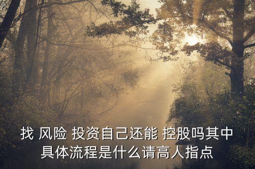 找 風(fēng)險(xiǎn) 投資自己還能 控股嗎其中具體流程是什么請高人指點(diǎn)