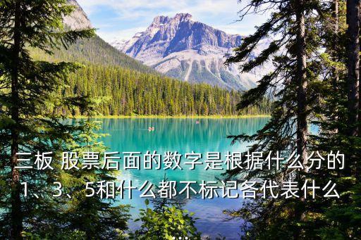 三板 股票后面的數(shù)字是根據(jù)什么分的1、3、5和什么都不標記各代表什么...