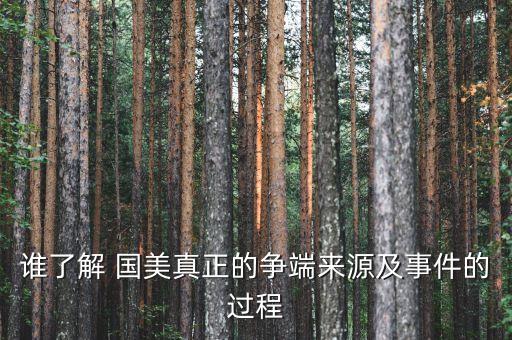 誰(shuí)了解 國(guó)美真正的爭(zhēng)端來(lái)源及事件的過(guò)程