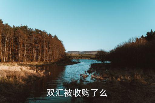 轉讓河南投資公司,銀行債務轉讓給投資公司