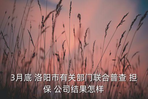 3月底 洛陽市有關(guān)部門聯(lián)合普查 擔(dān)保 公司結(jié)果怎樣