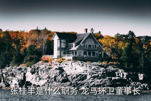 張桂豐是什么職務 龍馬環(huán)衛(wèi)董事長