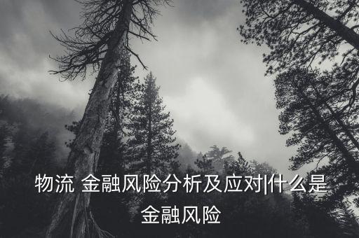  物流 金融風險分析及應對|什么是 金融風險