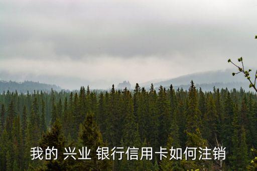 興業(yè)銀行銷(xiāo)卡方便嗎