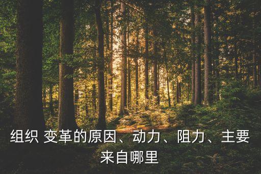 組織 變革的原因、動(dòng)力、阻力、主要來(lái)自哪里