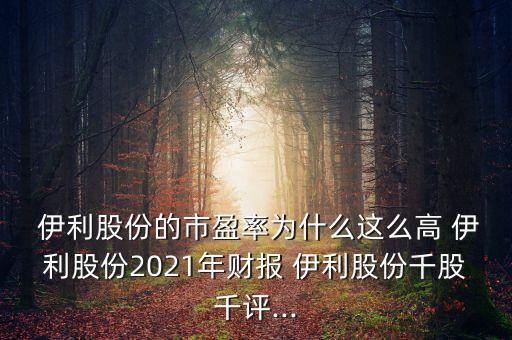 伊利公司財務(wù)報表下載